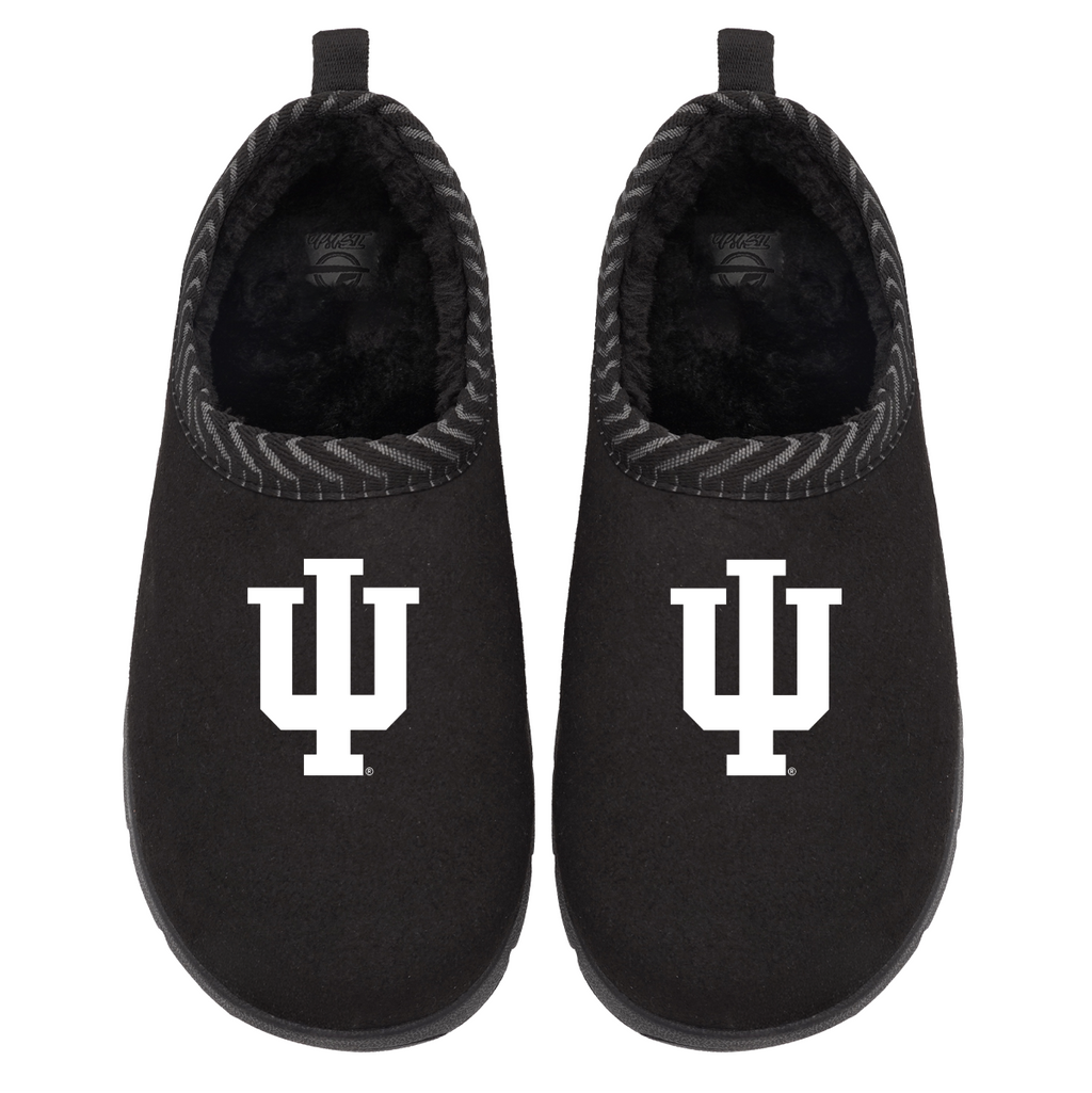 Indiana Hoosiers Primary Logo Mission