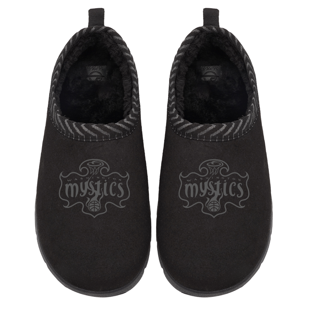 Washington Mystics Tonal Logo Mission