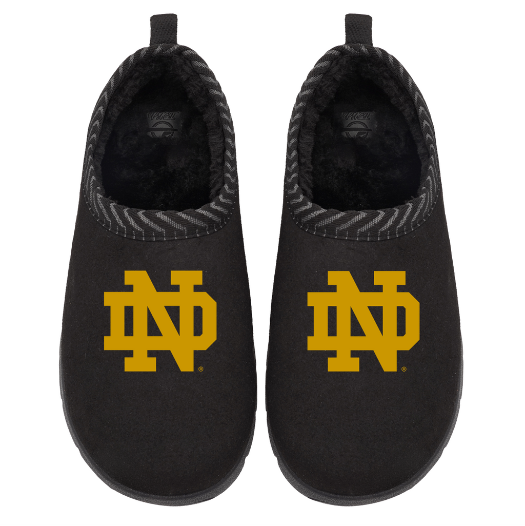 Notre Dame Fighting Irish Primary Logo Mission