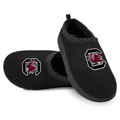 South Carolina Gamecocks Primary Logo Mission