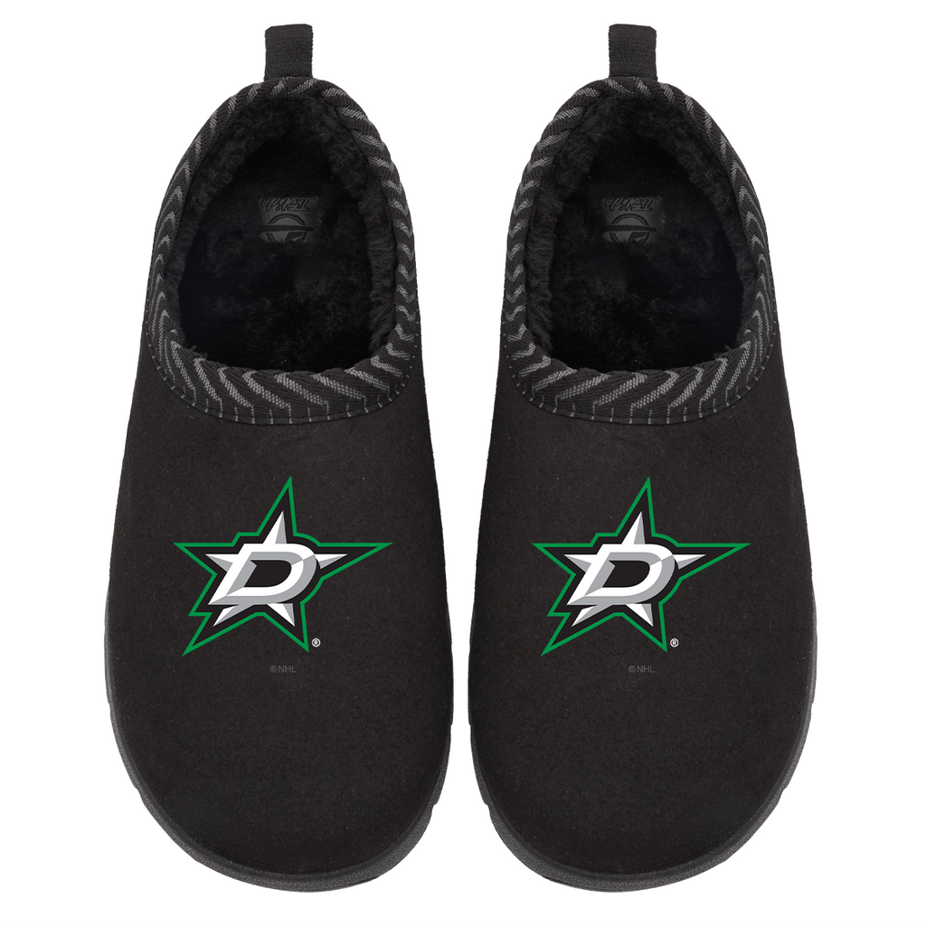 Dallas Stars Primary Logo Mission