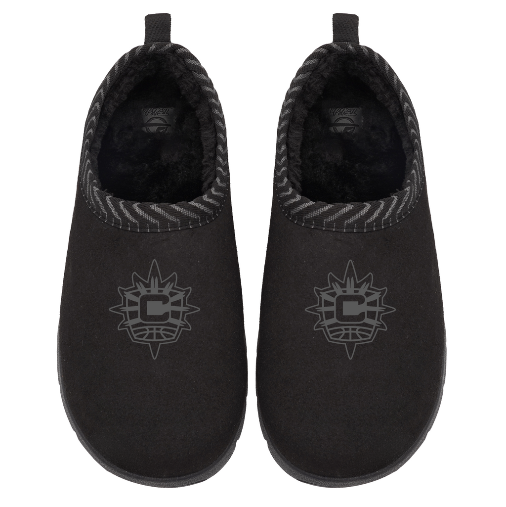 Connecticut Sun Tonal Logo Mission