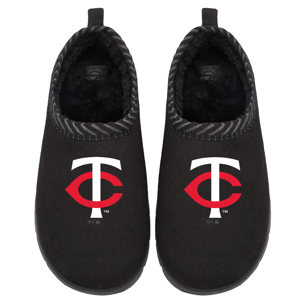 Minnesota Twins Primary Logo Mission