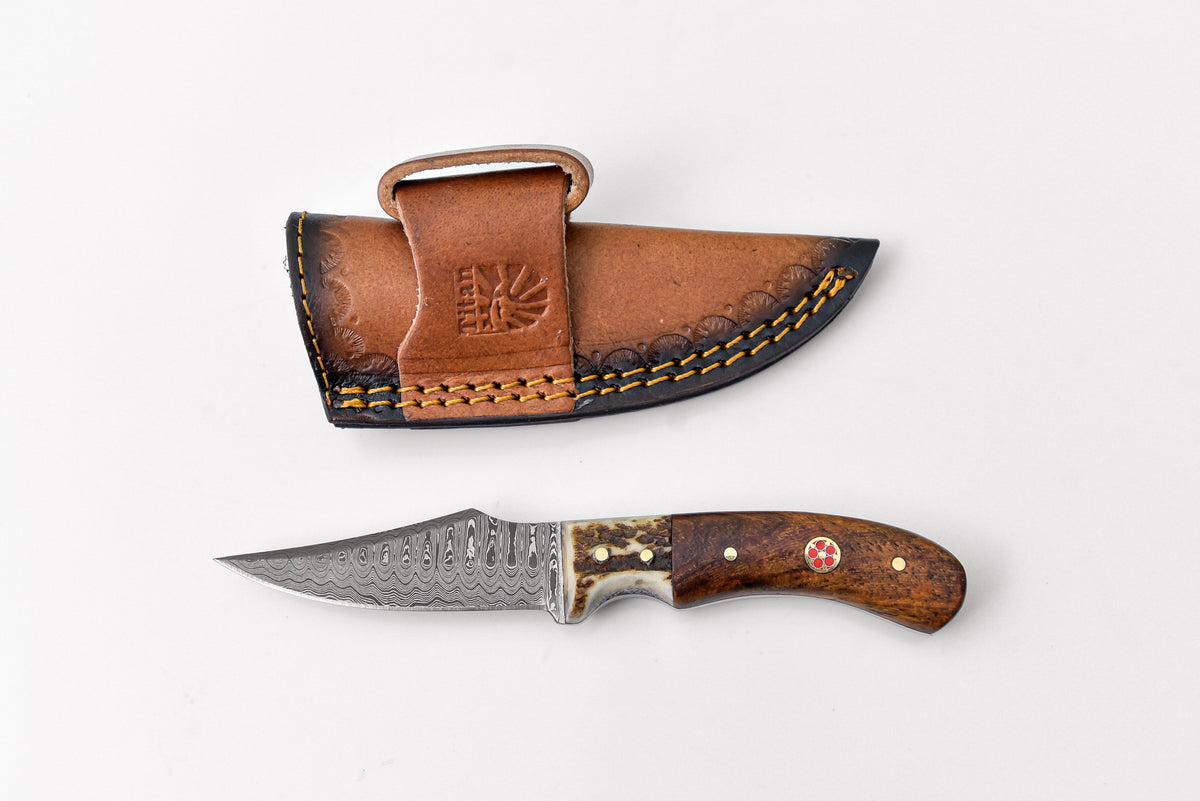 Damascus Steel Skinner Knife, Stag & Walnut Grip by Titan Td-340