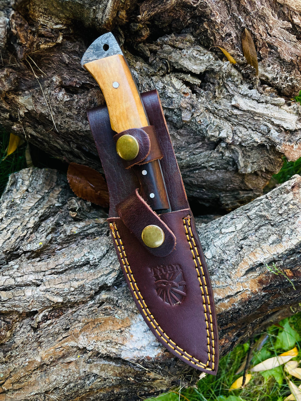 Damascus Steel Guthook Skinning TK-056 (1)