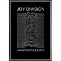 Joy Division Show Poster Print